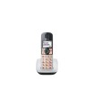 Panasonic KX-TGE510JTS Telefono Cordless (DECT) Ampio Schermo Retroilluminato Tasti Grandi