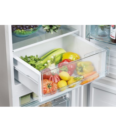 CANDY FRIGO. CCT3L517ES SILVER (E) 250LT(HxPxL)176x55x54.5cm, Low frost, Porte reversibili
