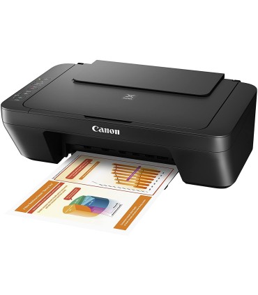 Multifunzione Canon PIXMA GM2050 3110C006