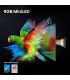 HISENSE LCD 65UR9S  RGB MINILED  65 RGB MINI LED 180Hz  4000 nit