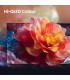 HISENSE LCD 43E79S UHD QLED43 UHD QLED  SMART DOLBY VISION-ATMOS