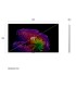 LG OLED evo 65G64LW UHD65  Processore a11 Gen3 con Ai  HyperRadiant Color