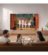 SAMSUNG LCD UE 43U7000HUXZT43"  50 Hz, 3 Hdmi, 1 Usb, Piedini