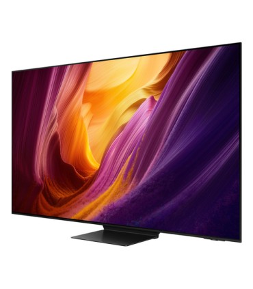 SAMSUNG  OLED  QE48S95HAEXZT48 165Hz,Processore NQ4 3°Gen,Schermo antiriflesso