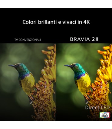 SONY LCD KD K65S25M2 BRAVIA 2     GOOGLE TV PROCESSORE X1 MOTIONFLOW XR 240HZ