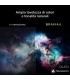 SONY OLED  K55A65 BRAVIA 655 POLLICI -OLED -UHD-GOOGLE TV -