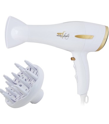 Phon Gold Style con Motore DC 2200 W Melchioni